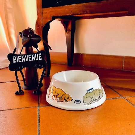Historical J&D Apartment Firenze Bagian luar foto