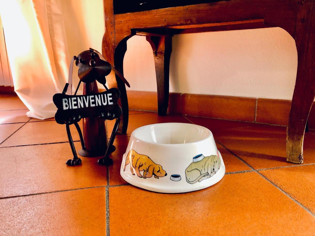 Historical J&D Apartment Firenze Bagian luar foto